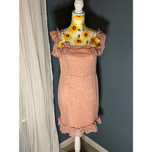 Lace Zexxy Pink Dress, Women's Large